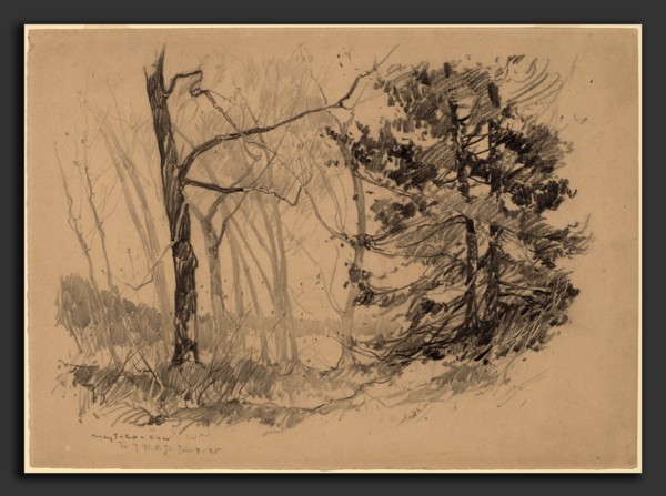 Charles Herbert Woodbury, Wood Interior, American, 1864 - 1940, 1920, graphite