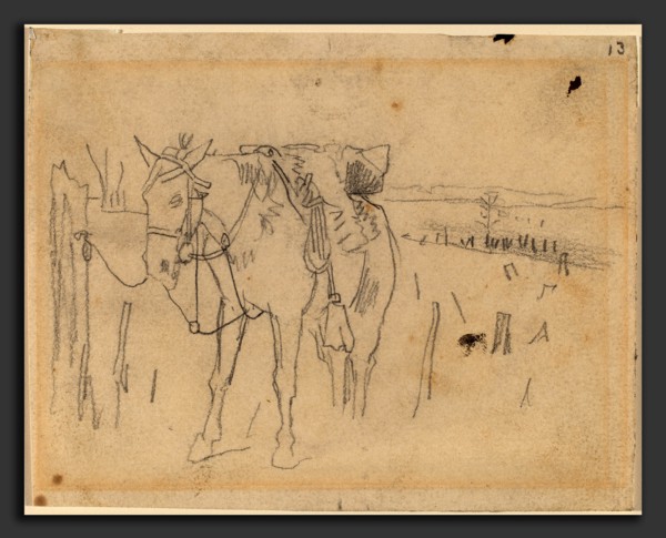Winslow Homer, Tethered, American, 1836 - 1910, 1862-1865, graphite on wove paper