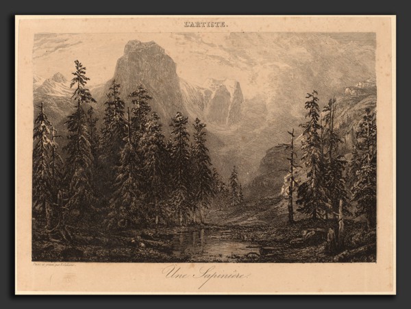 Alexandre Calame, Une SapiniÃ¨re, Swiss, 1810 - 1864, 1840-1850, etching
