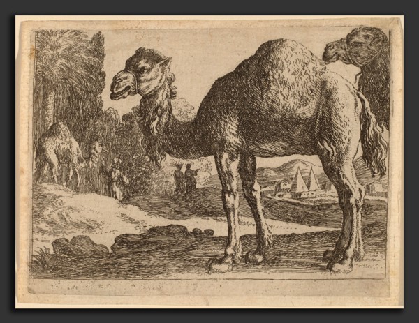 Herman van Swanevelt (Dutch, c. 1600 - 1655), Camels, etching