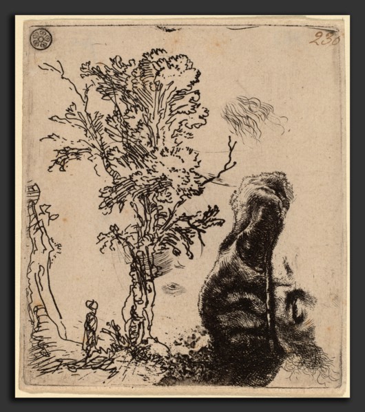 Rembrandt van Rijn (Dutch, 1606 - 1669), Sheet with Two Studies:  a Tree, and the Upper Part of a