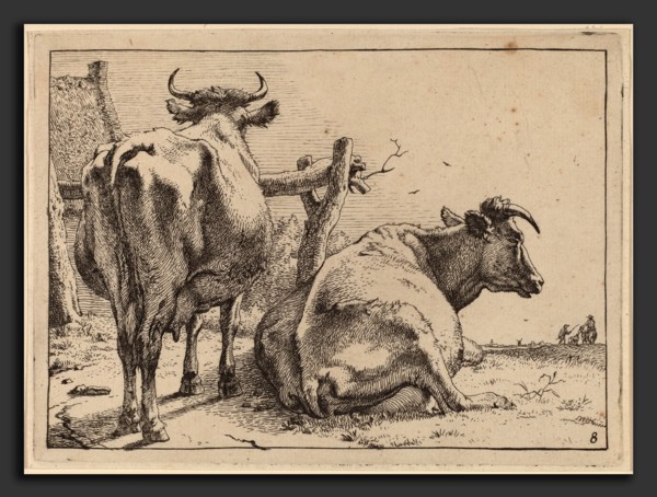 Paulus Potter (Dutch, 1625 - 1654), Two Cows Seen from Behind, 1650, etching