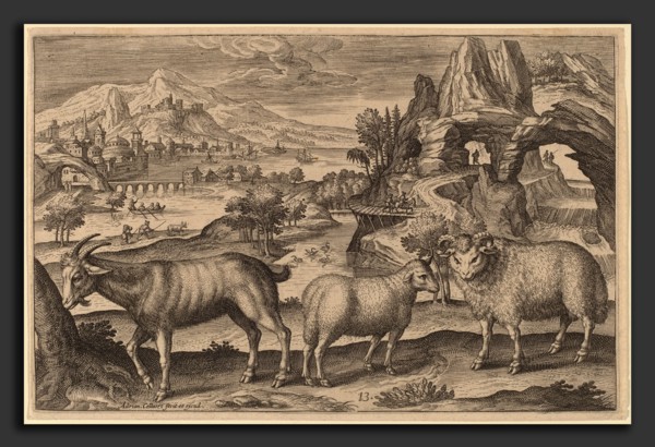 Adriaen Collaert (Flemish, c. 1560 - 1618), Animalium Quadrupedum, engraving