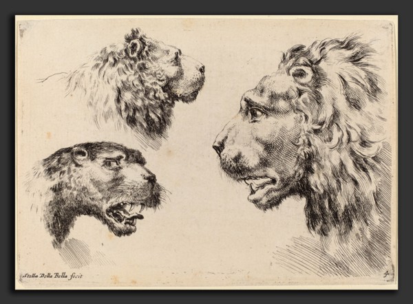 Stefano Della Bella (Italian, 1610 - 1664), Three Lion Heads, probably 1649, etching