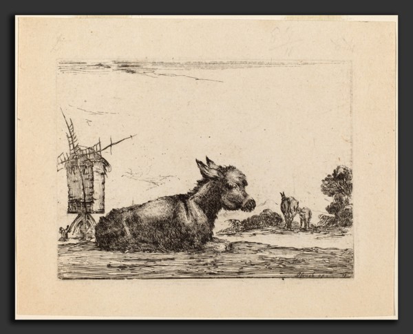 Stefano Della Bella (Italian, 1610 - 1664), Donkey Resting, 1642, etching