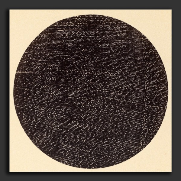 Dr. Arthur Durham (1850 - 1930), Microphotograph of Traverse Section of Wood (Salisburia), 1870s,