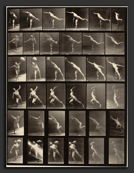 Eadweard Muybridge (American, born England, 1830 - 1904), Animal Locomotion, Plate 523, 1887,