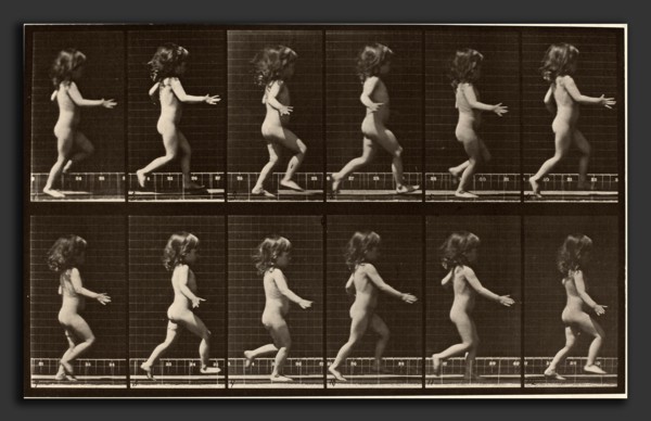 Eadweard Muybridge (American, born England, 1830 - 1904), Animal Locomotion, Plate 469, 1887,