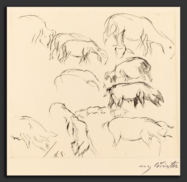 Lovis Corinth, Animal Studies (Verschiedene Tierstudien), German, 1858 - 1925, 1917, drypoint in