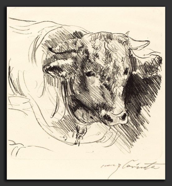 Lovis Corinth, Head of a Steer (Stierkopf), German, 1858 - 1925, 1912, lithograph in black on laid