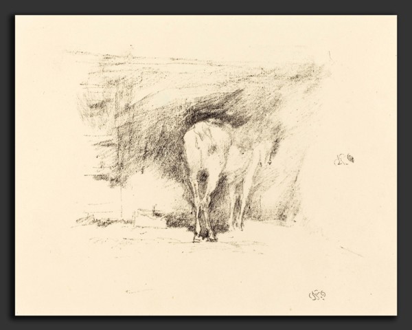 James McNeill Whistler (American, 1834 - 1903), Study of a Horse, 1895, lithograph