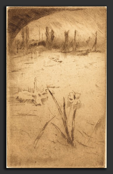 James McNeill Whistler (American, 1834 - 1903), Swan and Iris, published 1883, etching in brown on