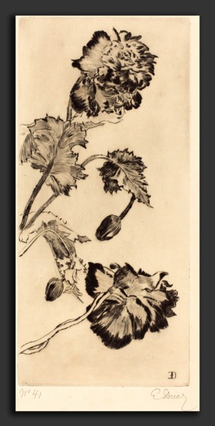 Ernest-Ange Duez (French, 1843 - 1896), Flowers (Fleurs), 1894, drypoint on laid paper