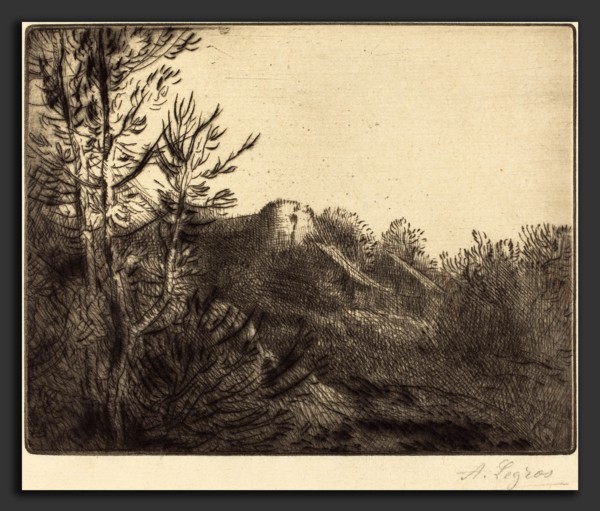 Alphonse Legros, View of a Farm (La ferme de Valoux), French, 1837 - 1911, etching and drypoint