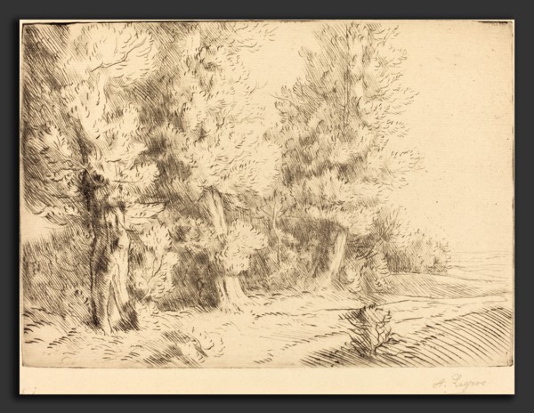 Alphonse Legros, In the Forest of Fontainebleau  (Dans la foret de Fontainebleau), French, 1837 -
