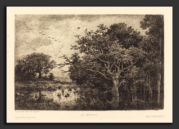 Charles-FranÃ§ois Daubigny (French, 1817 - 1878), Marsh (Le Marais), probably 1851, etching