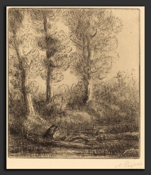 Alphonse Legros, Banks of the Saint-Pre (Rive du Saint-Pre), French, 1837 - 1911, etching