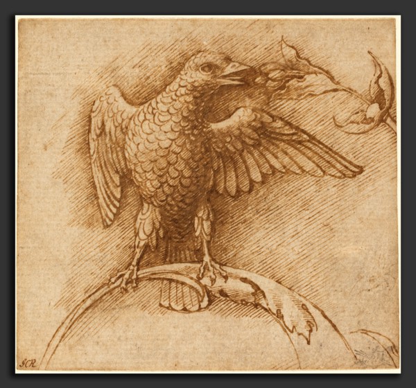 Andrea Mantegna (Italian, c. 1431 - 1506), A Bird Perched on a Branch with Fruit, 1460s, pen and