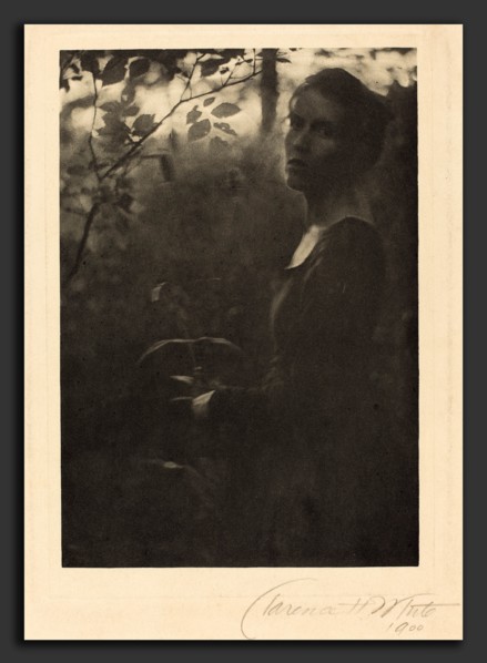Clarence H. White, Edge of the Woods, Evening, American, 1871 - 1925, 1900, photogravure