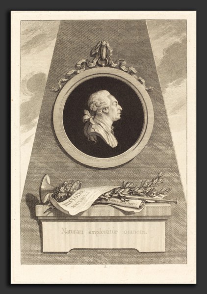 Augustin de Saint-Aubin after Piat Joseph Sauvage (French, 1736 - 1807), Comte de Buffon, 1798,