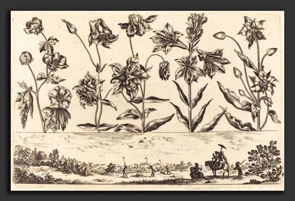 Nicolas Cochin after Balthasar Moncornet (French, 1610 - 1686), Flower Print no.6, 1645, etching