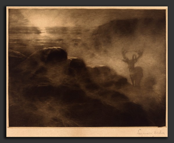 Francis Seymour Haden (British, 1818 - 1910), An Early Riser, 1897, mezzotint