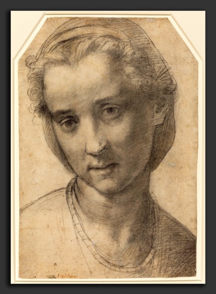 Andrea del Sarto (Italian, 1486 - 1530), Head of a Woman, c. 1515, black chalk on laid paper