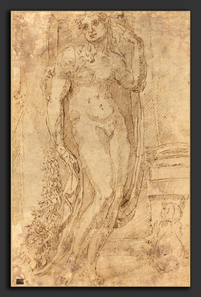 Jacopo di Giovanni di Francesco (Italian, 1495 - 1553), Allegorical Figure with a Cat and a Pig, c.