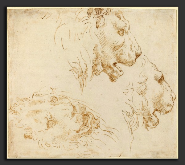 Stefano Della Bella (Italian, 1610 - 1664), Studies of a Lion's Head, pen and brown ink on laid