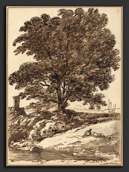 Franz Innocenz Josef Kobell (German, 1749 - 1822), Seacoast with a Great Tree, pen and brown ink