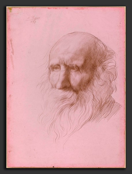 Alphonse Legros (French, 1837 - 1911), Head of an Old Man, 1897, metalpoint on pink bristol board