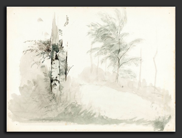 John Ruskin, Tree Study, British, 8 February 1819 - 20 January 1900, pen and black ink with