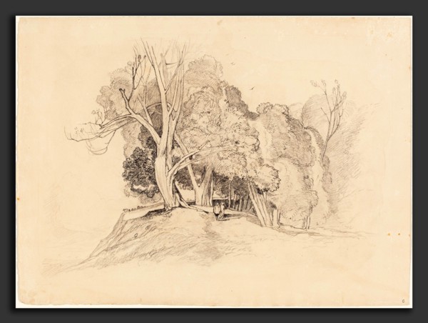 Attributed to John Sell Cotman (British, 1782 - 1842), Landscape with Trees, graphite on wove paper