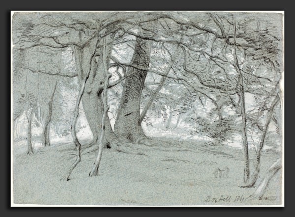Sir William Blake Richmond (British, 1842 - 1921), Trees at Box Hill, 1860, black chalk and