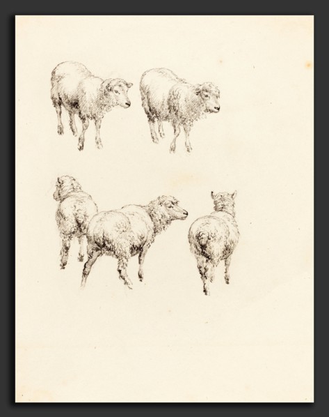 Robert Hills (British, 1769 - 1844), Five Sheep, graphite on wove paper