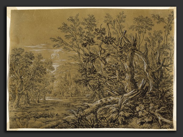 Jonas Umbach (German, c. 1624 - 1693), Stream through an Ancient Forest, black chalk heightened