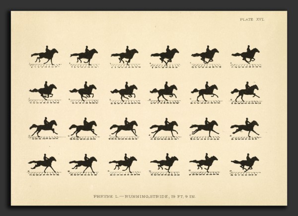 Eadweard Muybridge (American, born England, 1830 - 1904), The Horse in Motion as Shown by
