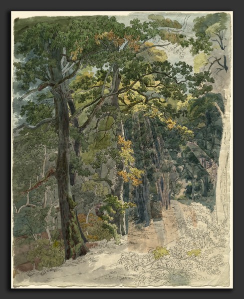 Friedrich Salathé (Swiss, 1793 - 1858), Rays of Sunlight Striking a Woodland Path, c. 1815, pen and
