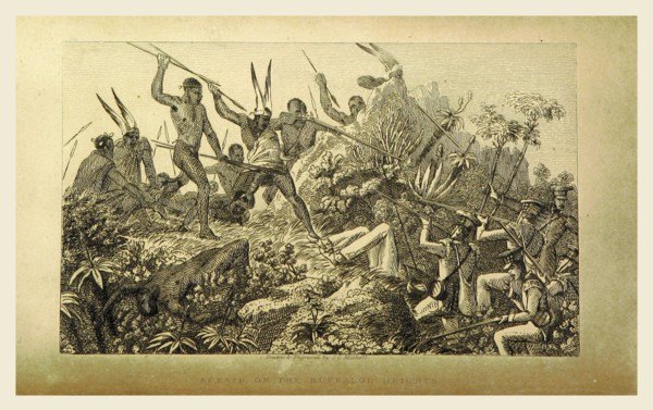 Buffaloe Heights, Narrative of a Voyage of Observation among the Colonies of Western Africa  and of