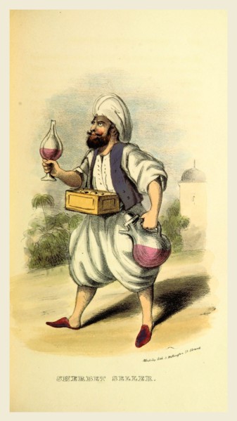 Sherbet seller, Damascus and Palmyra, a journey to the East. With a sketch of the state and