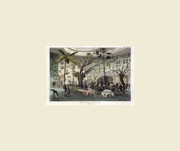 The Repository of Arts, Literature, Commerce, Manufactures, Fashions, and Politics, Bullock's