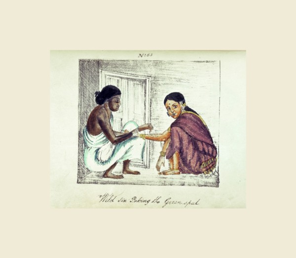 A Digest of the different castes of India, Wild Six Paking the Greenspal, 19th century engraving