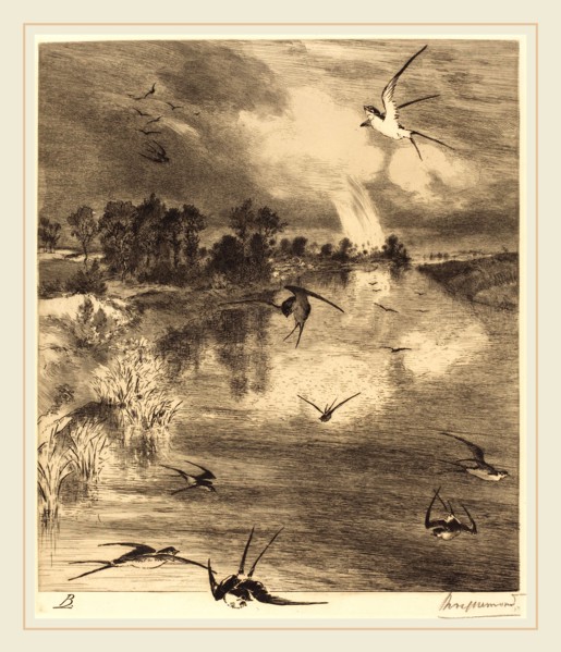 Félix Bracquemond (French, 1833-1914), The Swallows, c. 1884, etching on laid paper printed c. 1900