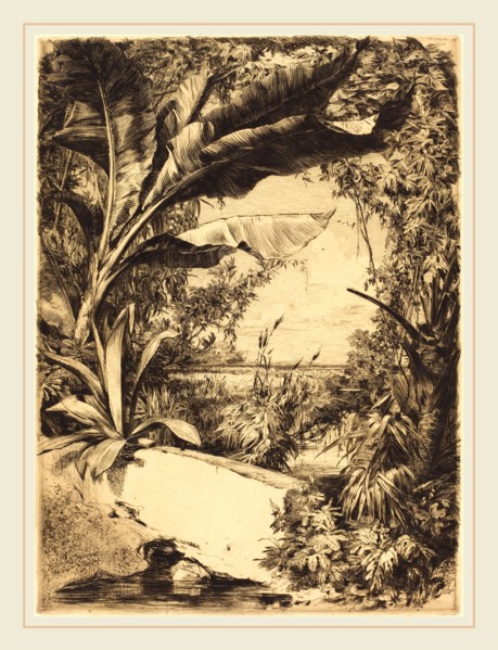 Jules-Ferdinand Jacquemart (French, 1837-1880), Plantes de Serre, 1863, etching in brown-black on