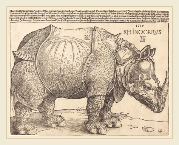 Albrecht DÃ¼rer (German, 1471-1528), The Rhinoceros, 1515, woodcut