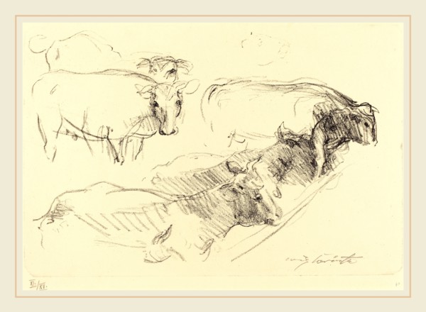 Lovis Corinth, Cows (KÃ¼he), German, 1858-1925, 1910, lithograph in black on wove paper