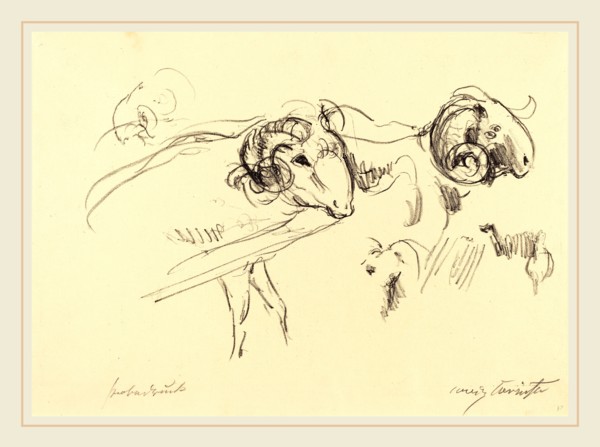 Lovis Corinth, Rams (SchafbÃ¶cke), German, 1858-1925, 1912, lithograph in black on laid paper
