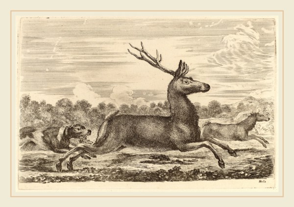 Stefano Della Bella (Italian, 1610-1664), Deer Chased by Two Dogs to the Left, etching on laid