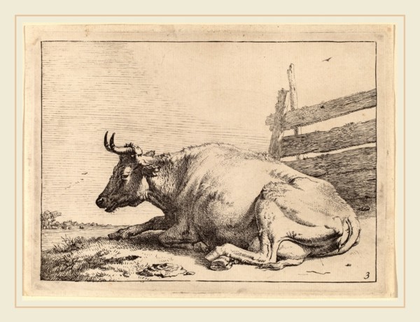 Paulus Potter (Dutch, 1625-1654), Cow Lying Down near a Fence, 1650, etching