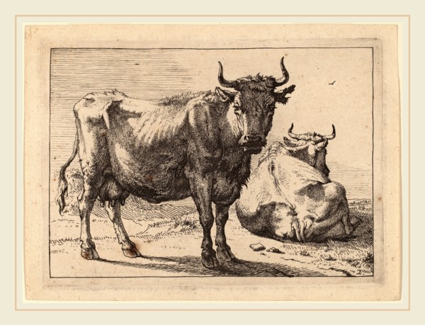 Paulus Potter (Dutch, 1625-1654), A Cow Standing and Another Lying Down, 1650, etching